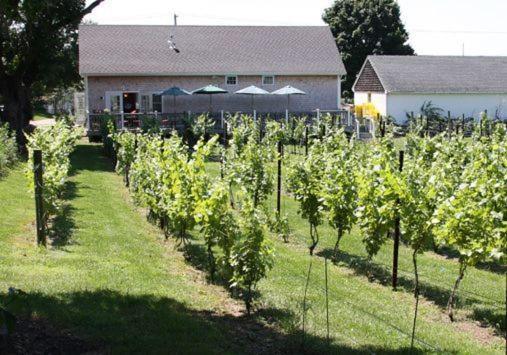 The Langworthy Inn & Winery Westerly Eksteriør bilde